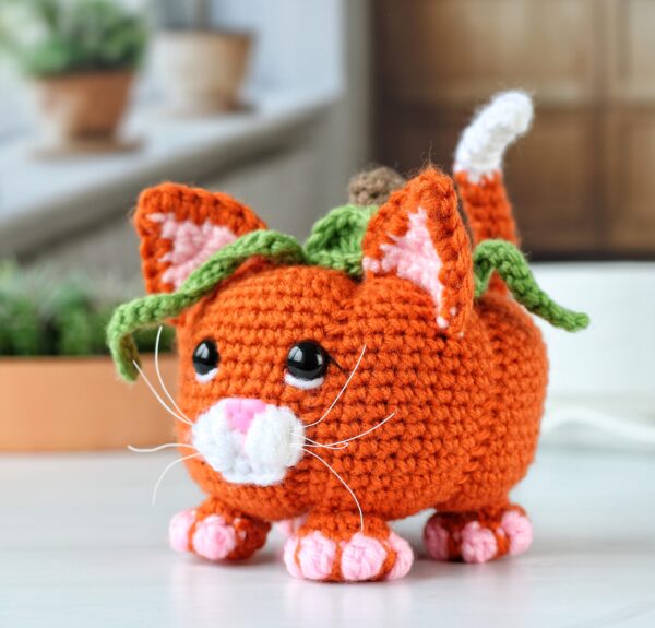 pumpkatfront